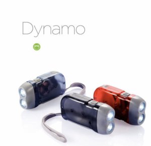 Torche à dynamo